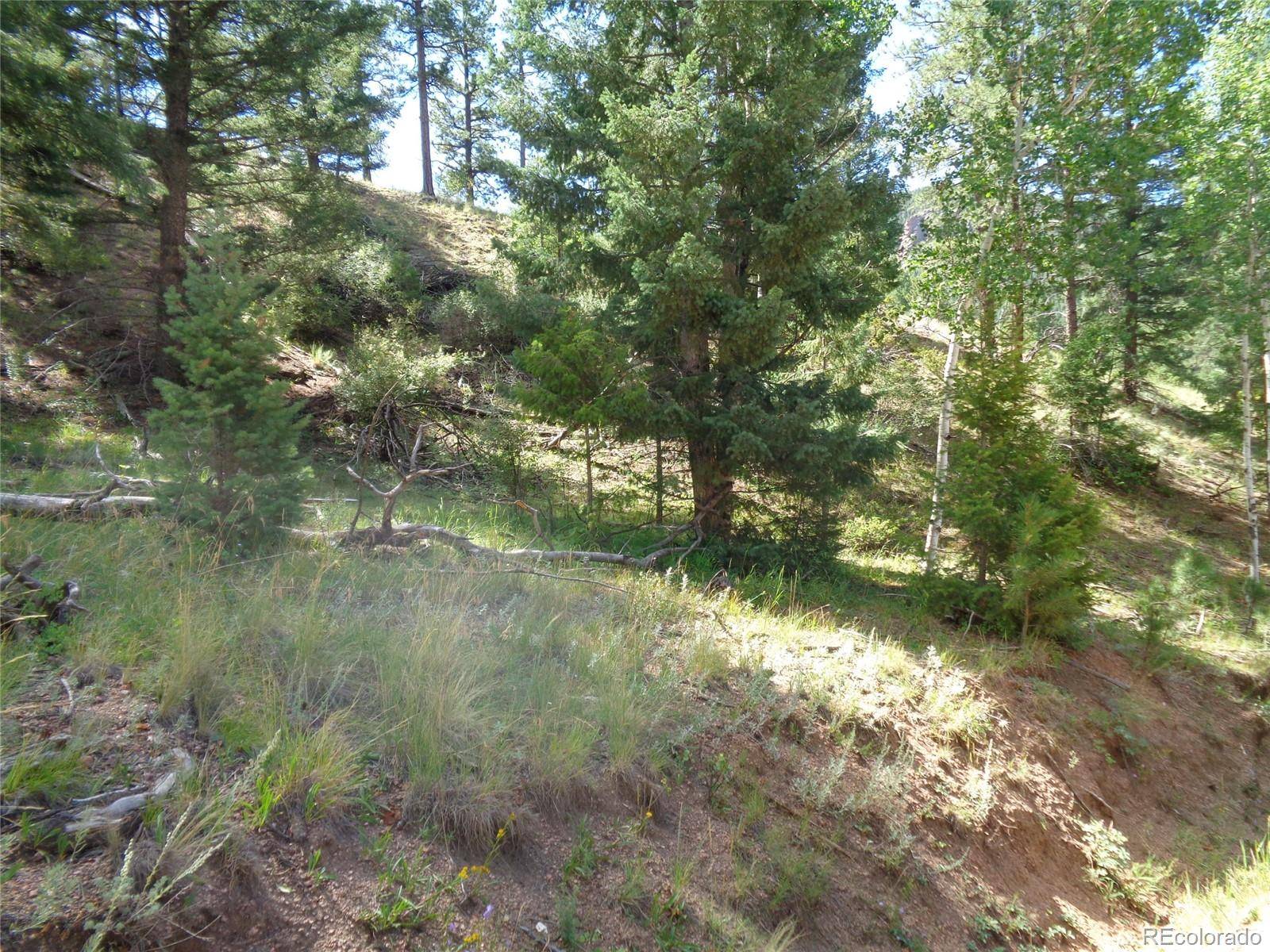 Cripple Creek, CO 80814,186 Alpine DR