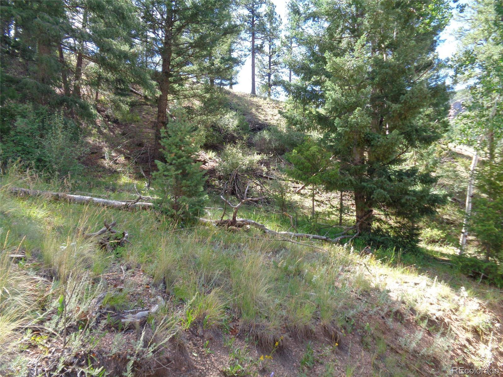 Cripple Creek, CO 80814,186 Alpine DR