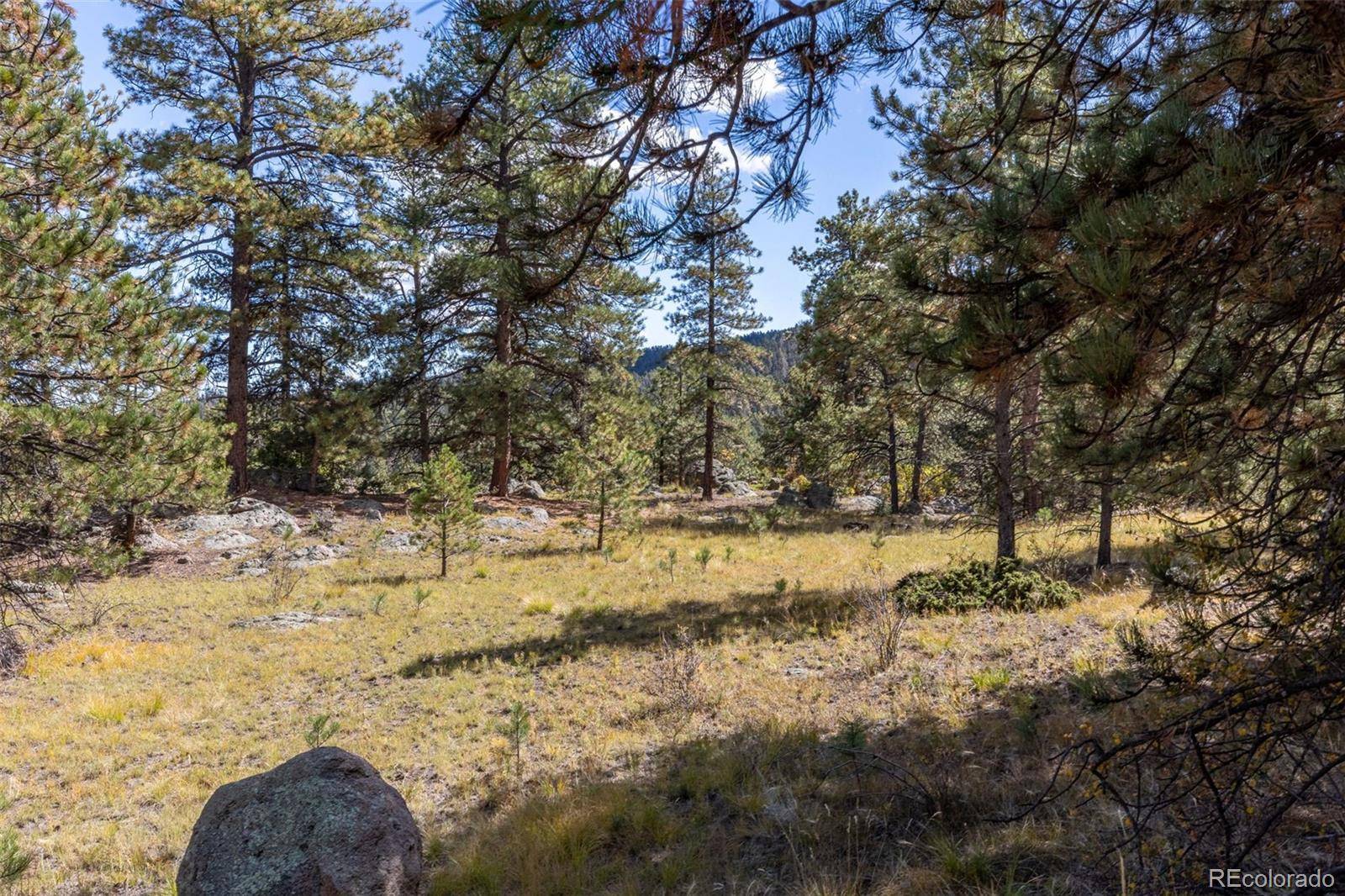 Canon City, CO 81212,195 Sweet Gum LN