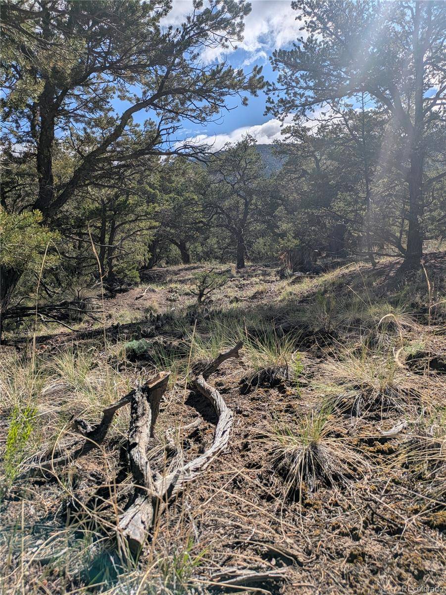 Crestone, CO 81131,1813 Rockyview WAY
