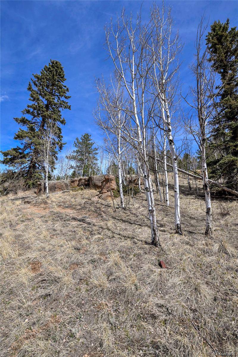 Divide, CO 80814,926 W Bison Creek TRL