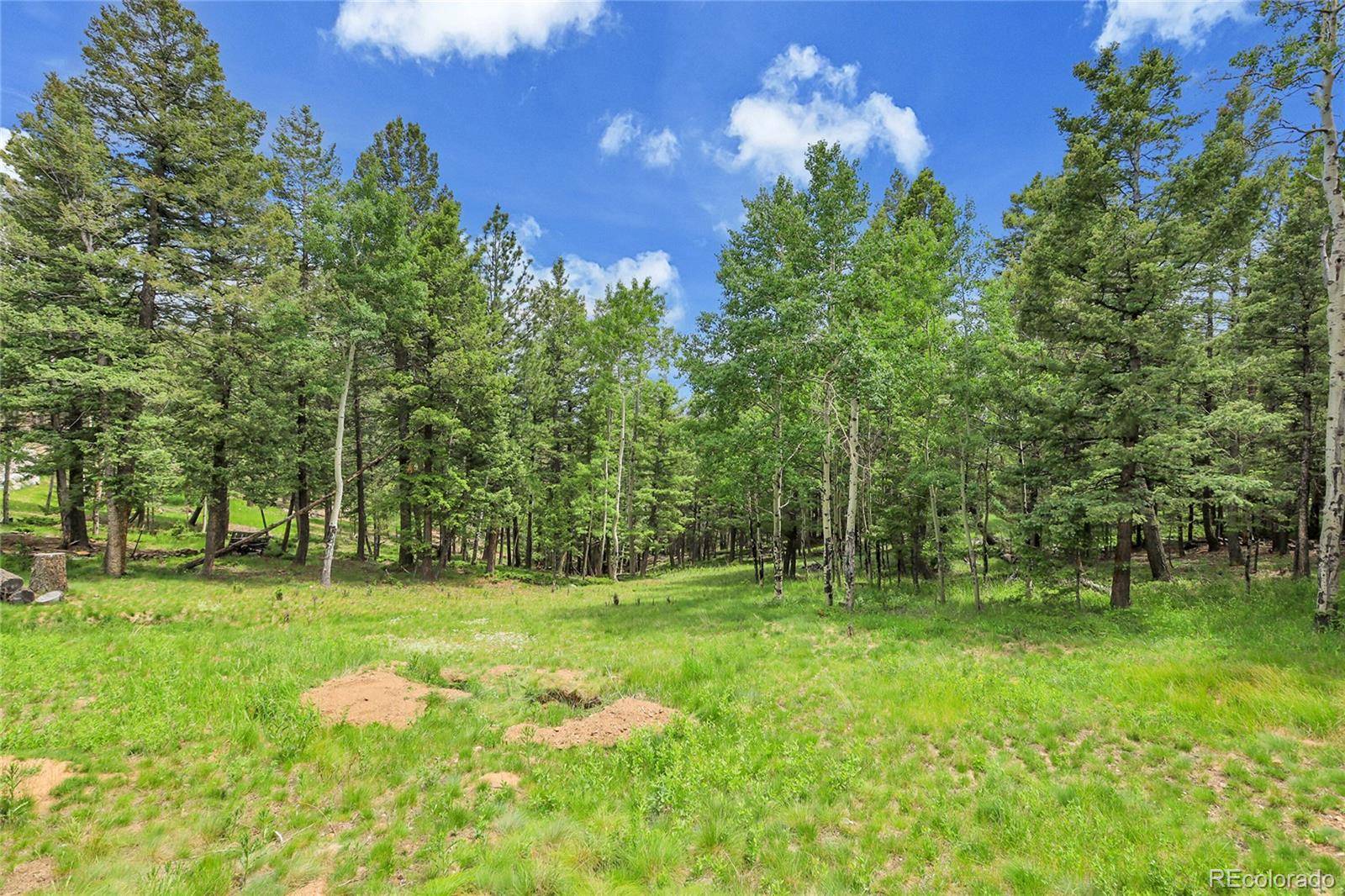 Conifer, CO 80433,30122 Nancys LN
