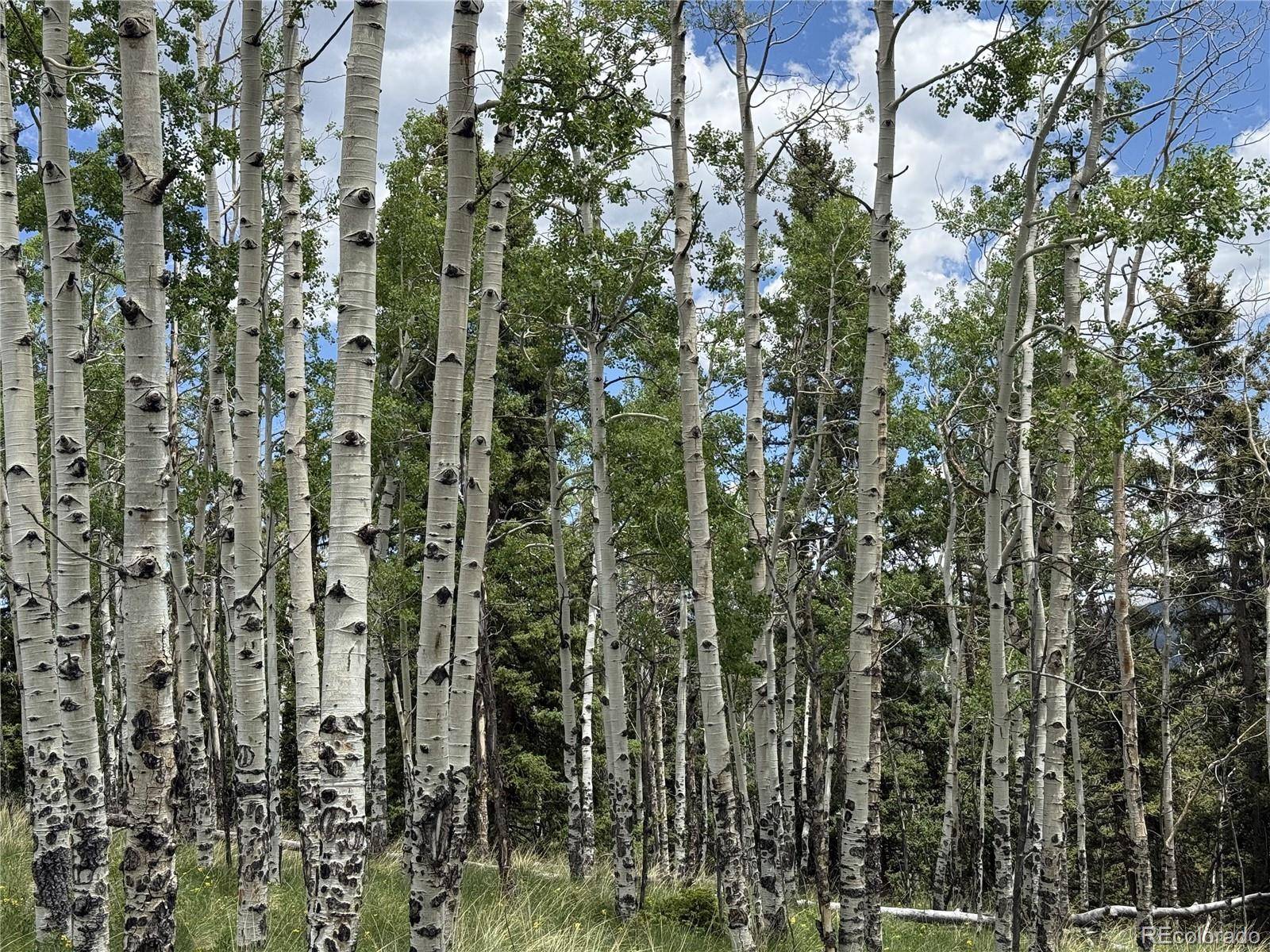 Como, CO 80432,28 Como ST