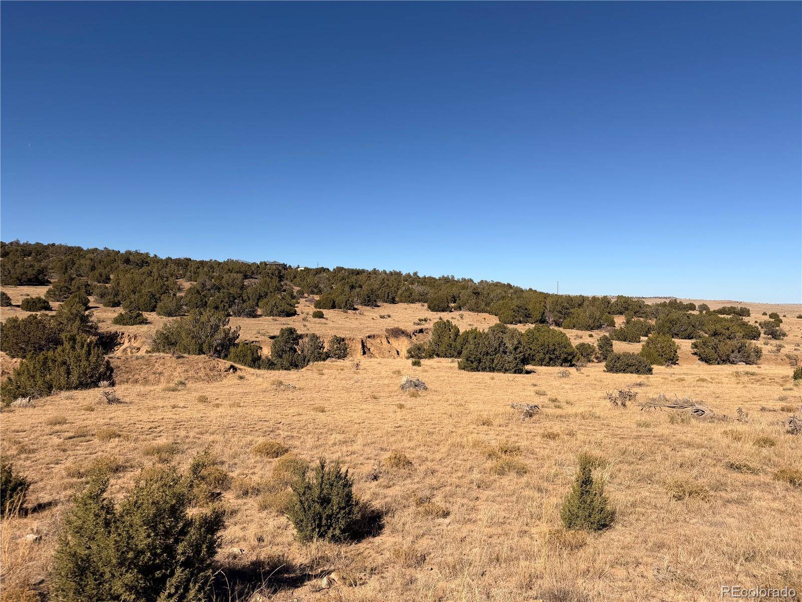 Walsenburg, CO 81089,Lot 537 RIO CUCHARAS