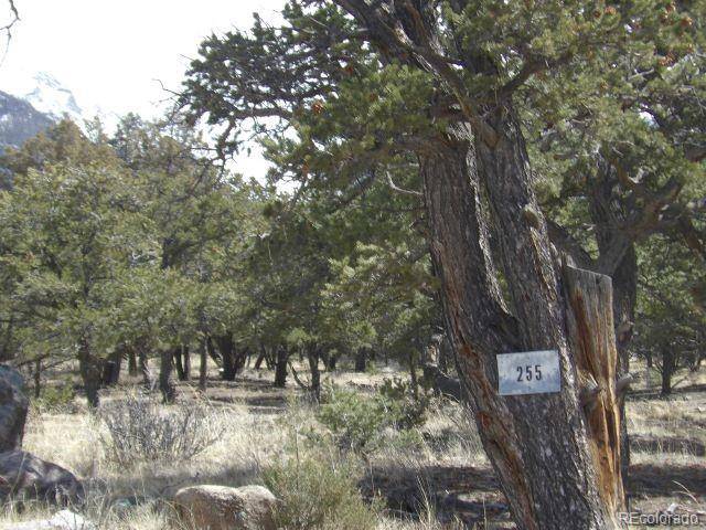 Crestone, CO 81131,255 Baca Grant WAY