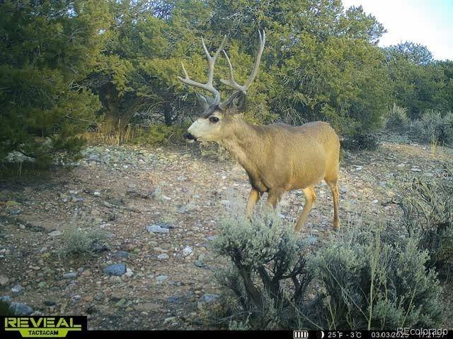 Fort Garland, CO 81133,Lot 3886 & 3887 Galloway RD