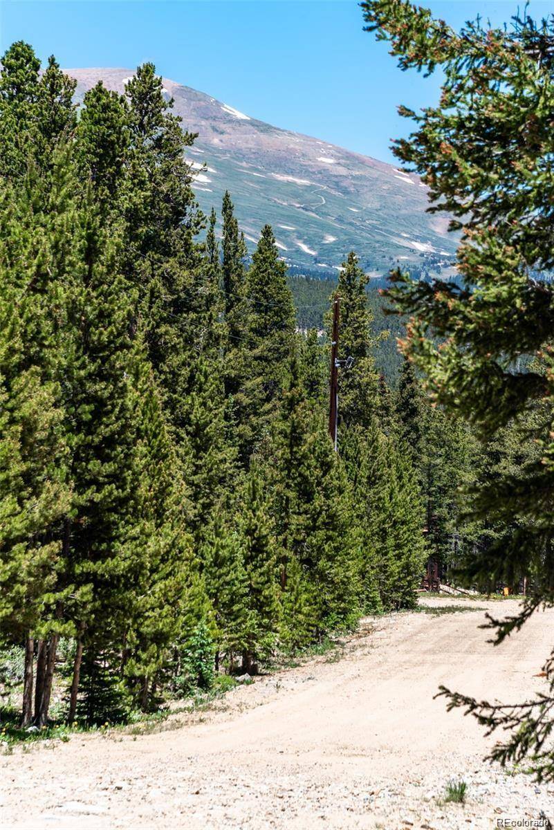 Fairplay, CO 80440,176 Gold Trail CIR