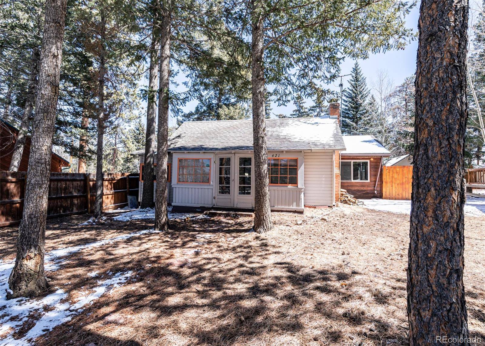 Woodland Park, CO 80863,421 N Pine ST