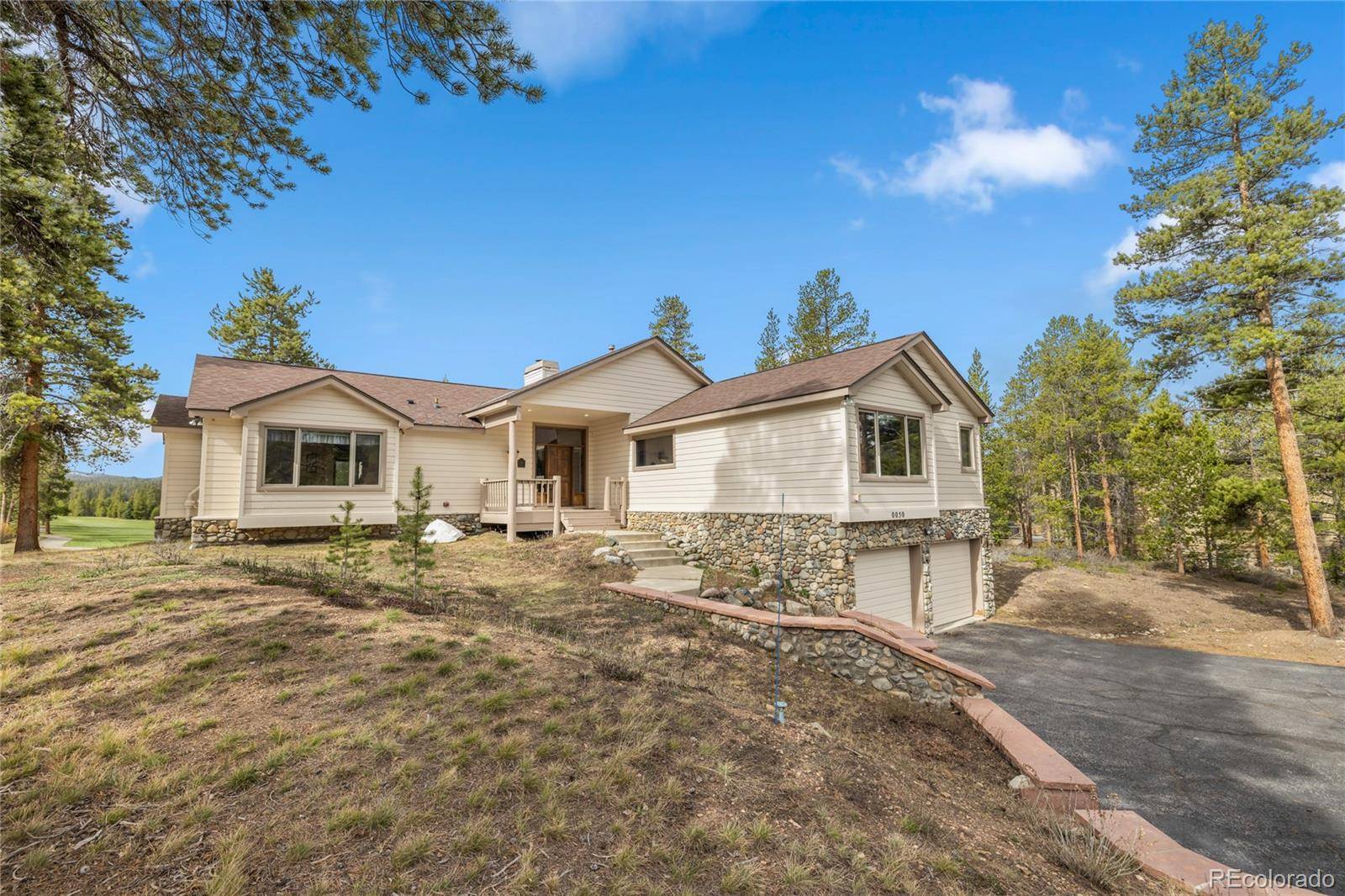 Dillon, CO 80435,50 Lichen LN