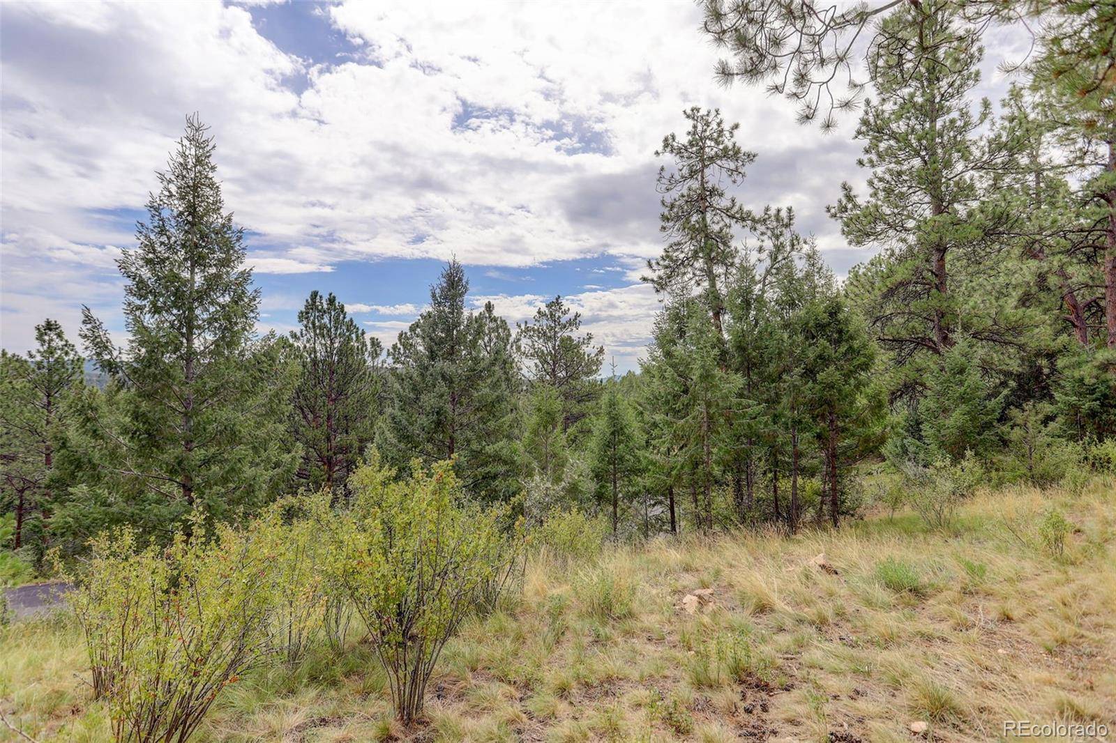 Pine, CO 80470,32304 Meadow Ridge LN