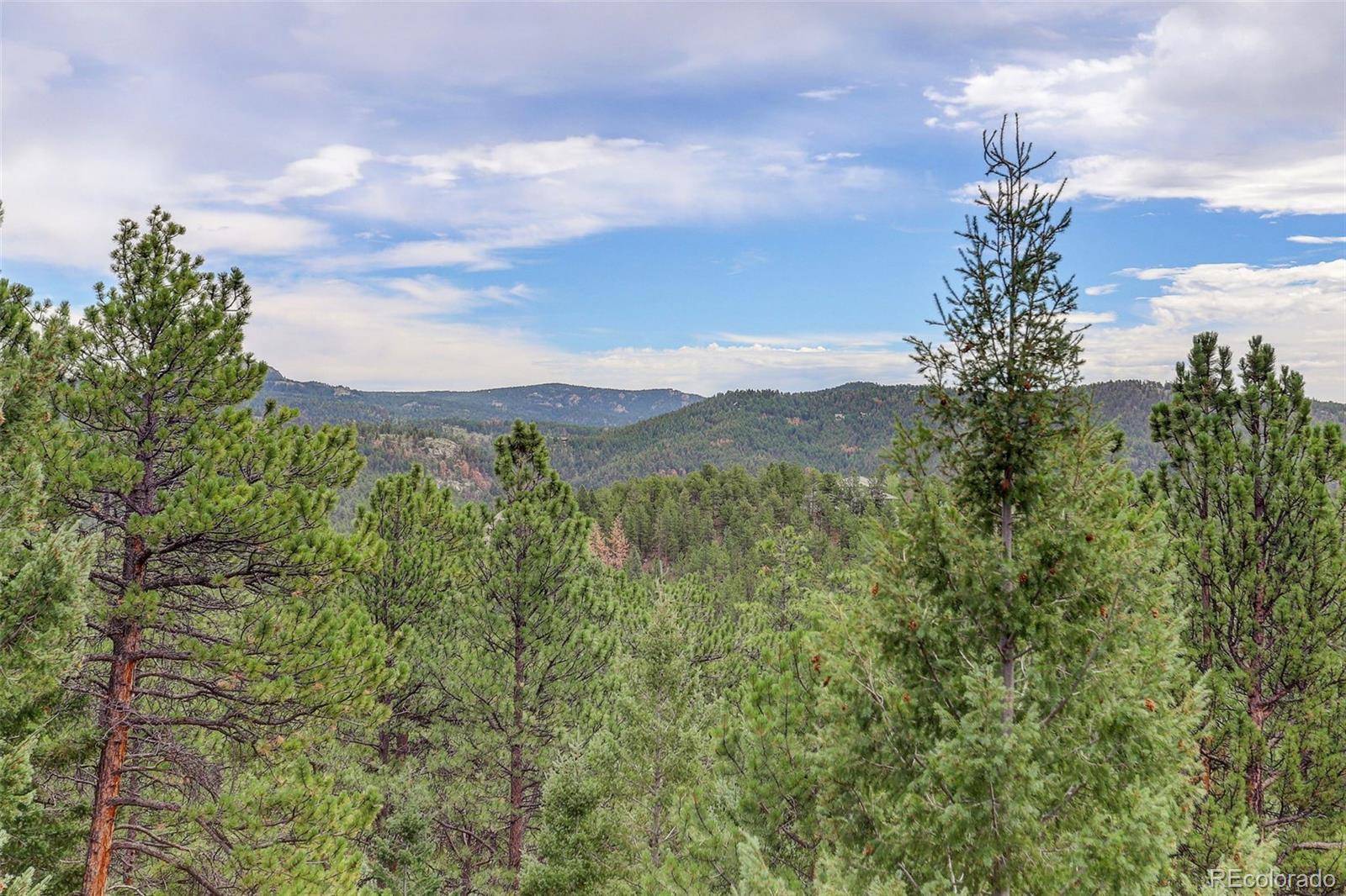 Pine, CO 80470,32304 Meadow Ridge LN