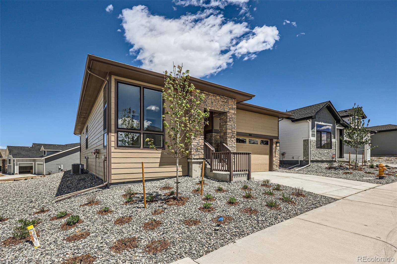 Castle Rock, CO 80104,400 Basin Daisy ST