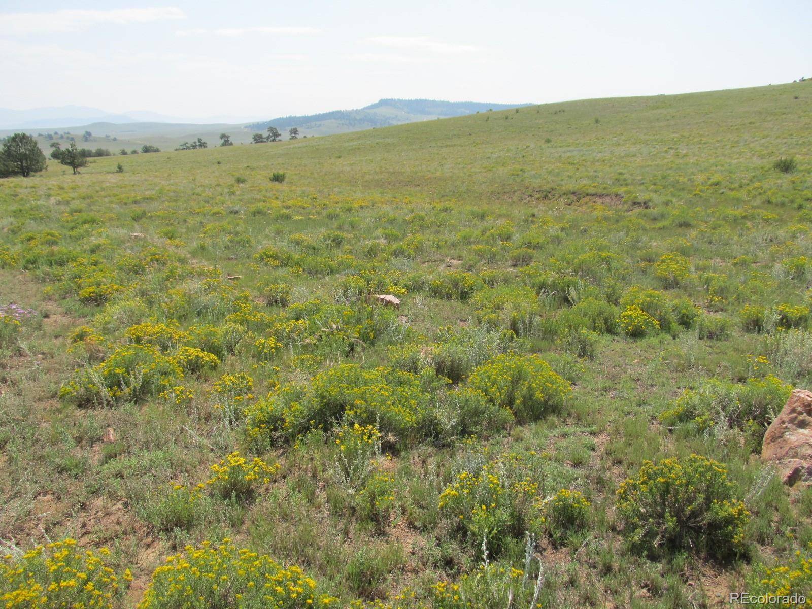 Hartsel, CO 80449,Lot 5079 Hohokan TRL