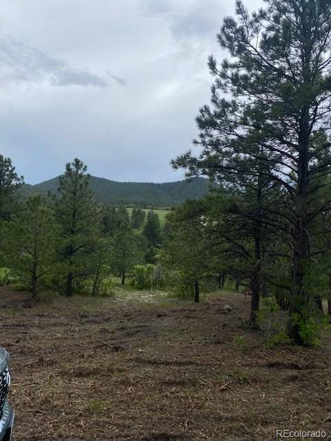 Larkspur, CO 80118,Lot 1 Silverheels DR