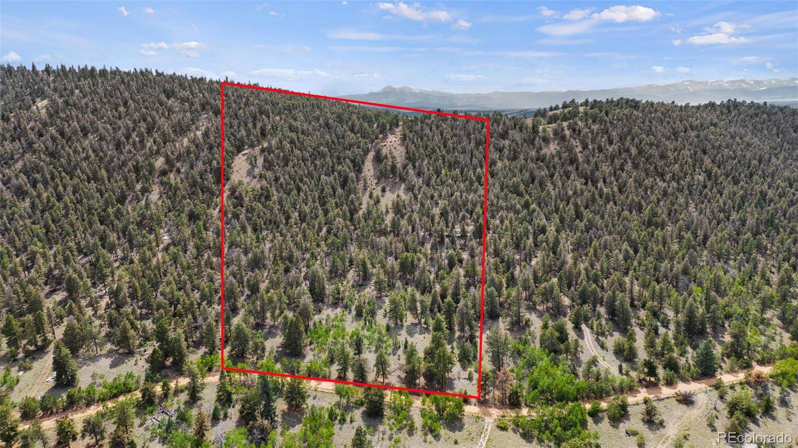 Hartsel, CO 80449,1833 Fitzsimmons DR