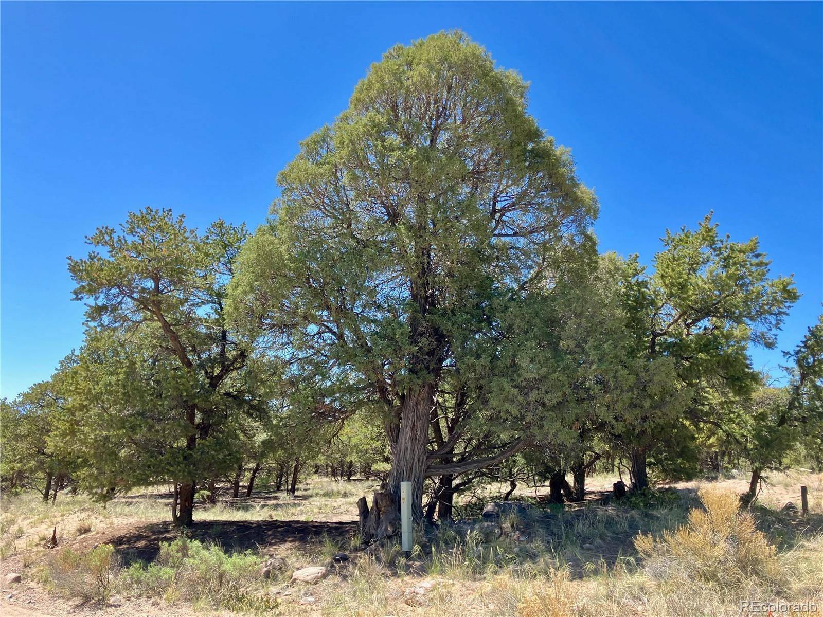 Crestone, CO 81131,745 N Cliffwood