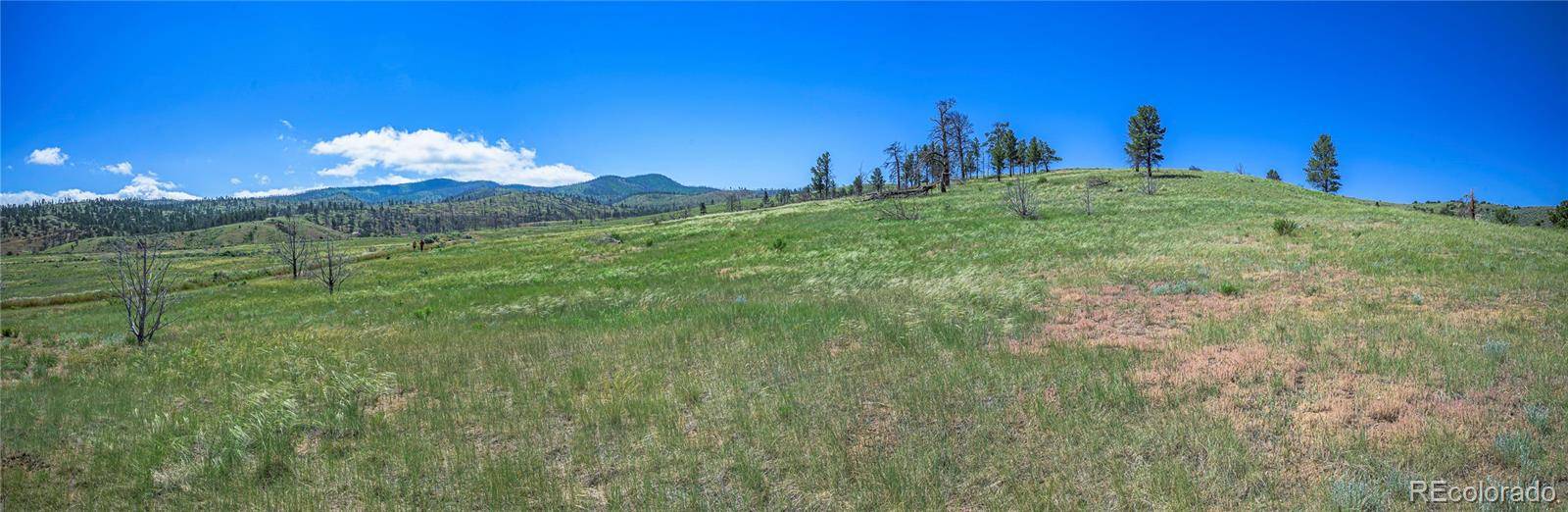 Fort Garland, CO 81133,Joyce RD