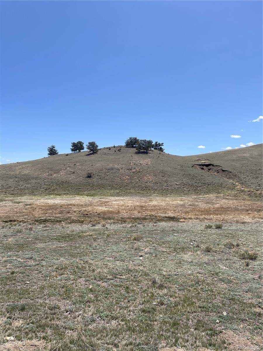 Hartsel, CO 80449,1868 Ute Trace DR