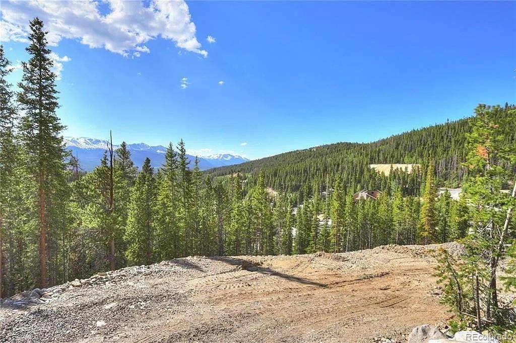 Breckenridge, CO 80424,103 CR 529