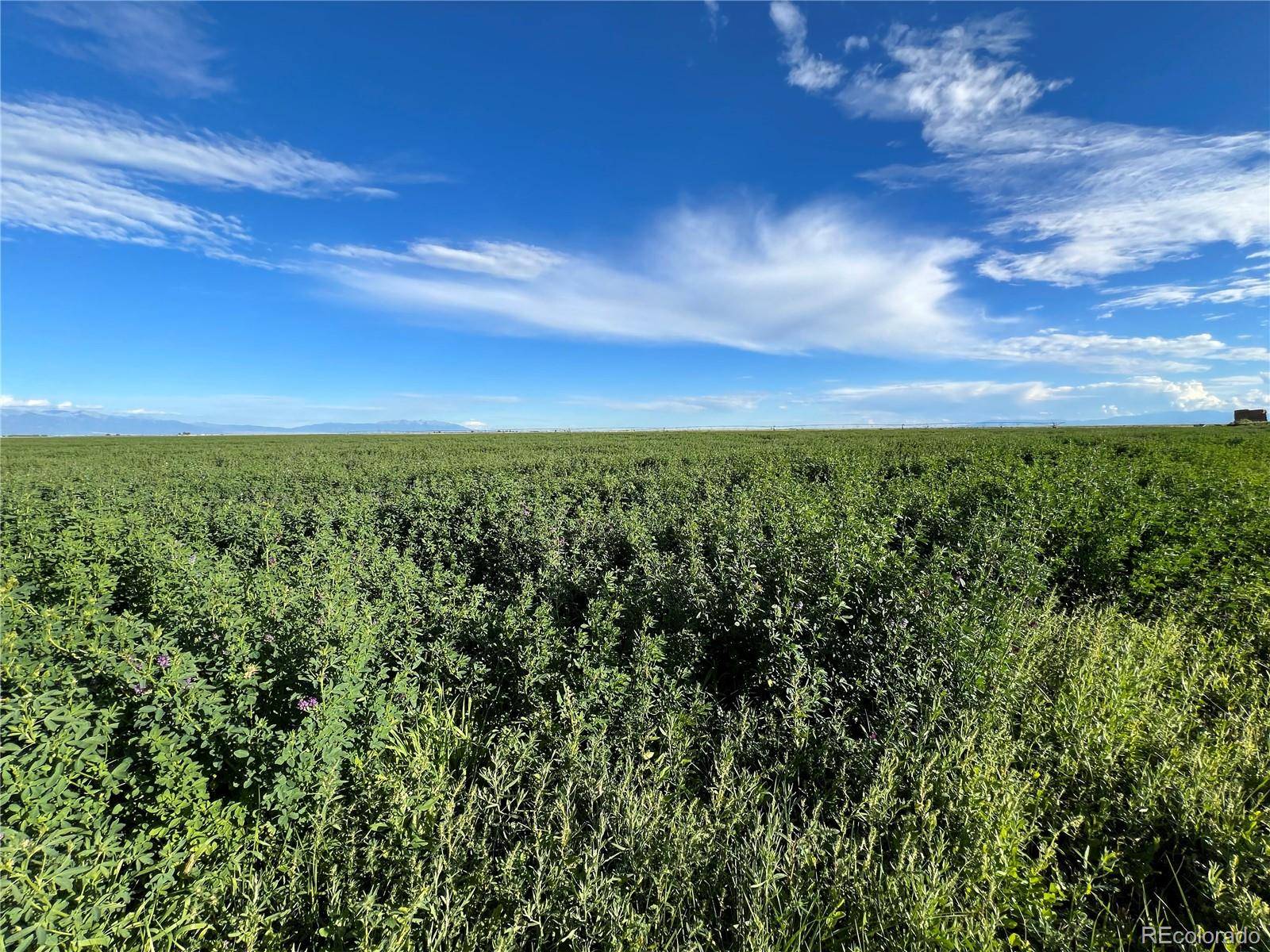 Saguache, CO 81149,51273 County Road X