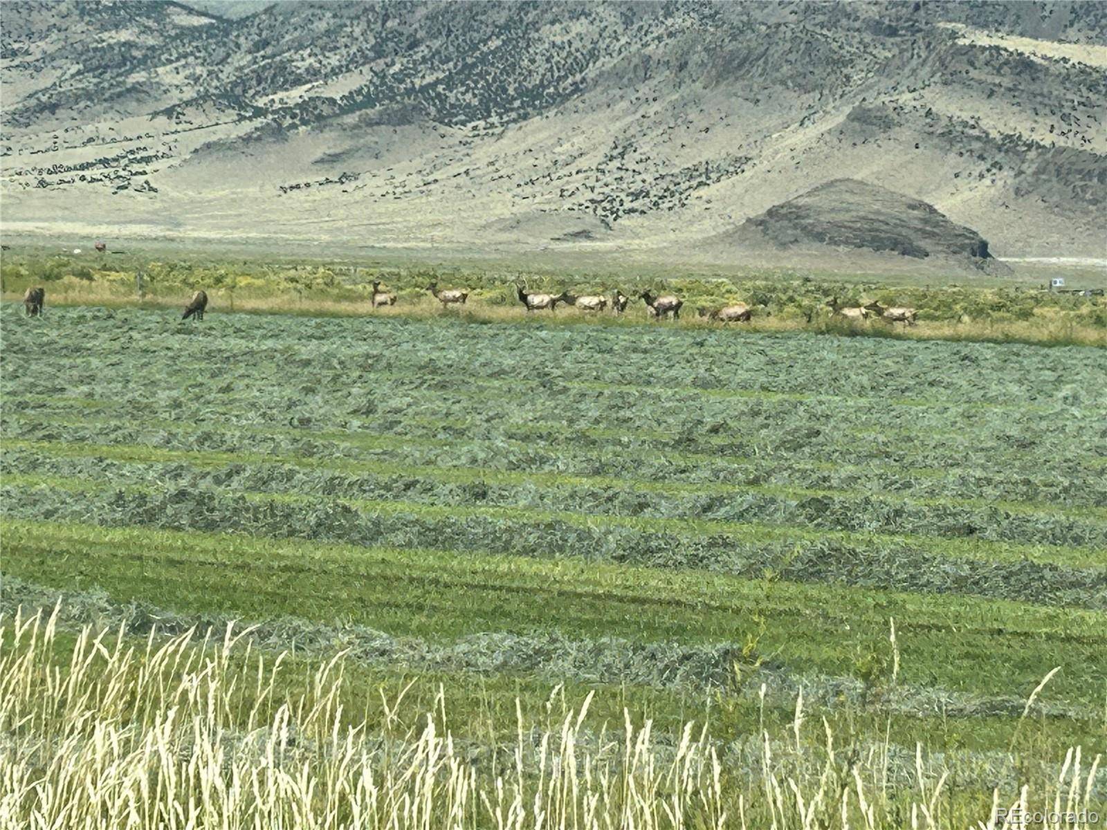 Saguache, CO 81149,51273 County Road X
