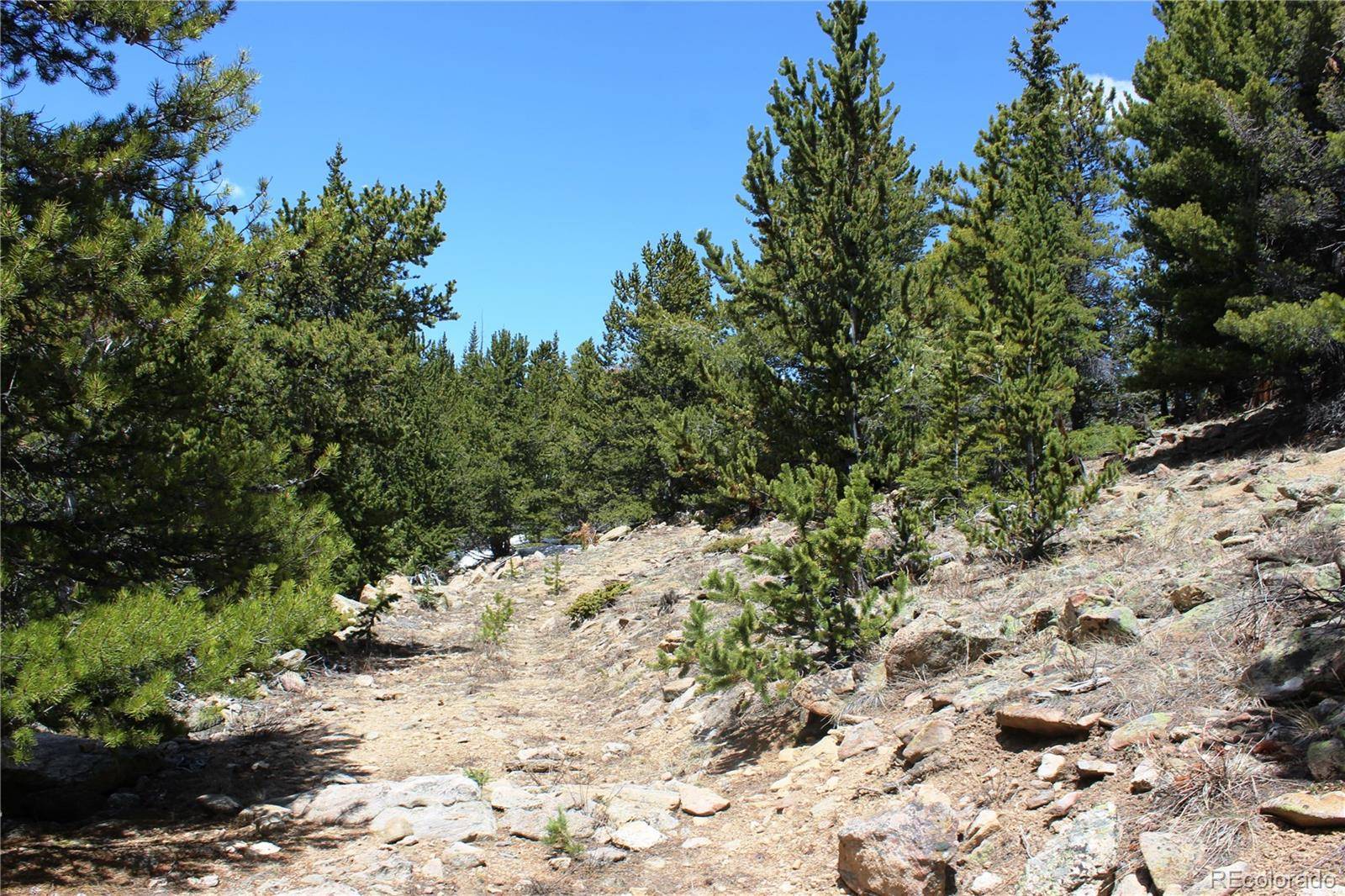 Idaho Springs, CO 80452,Group 10 Lamartine RD
