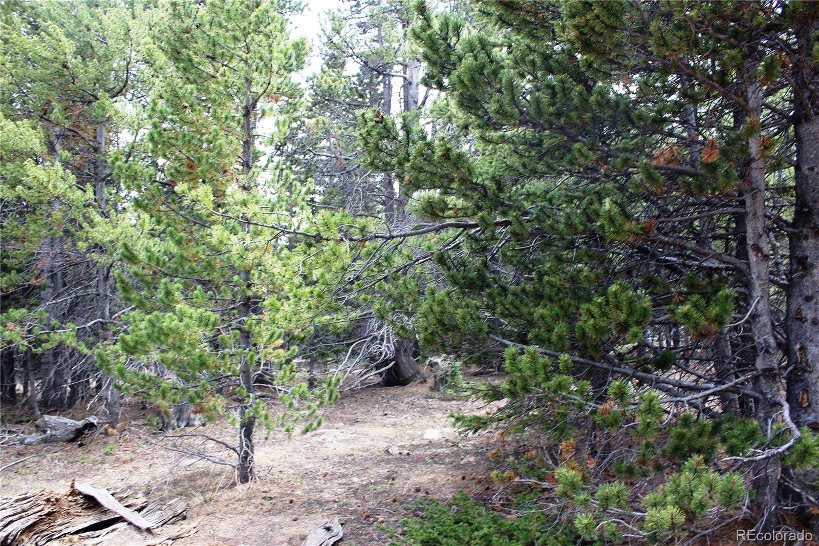Idaho Springs, CO 80452,Group 10 Lamartine RD