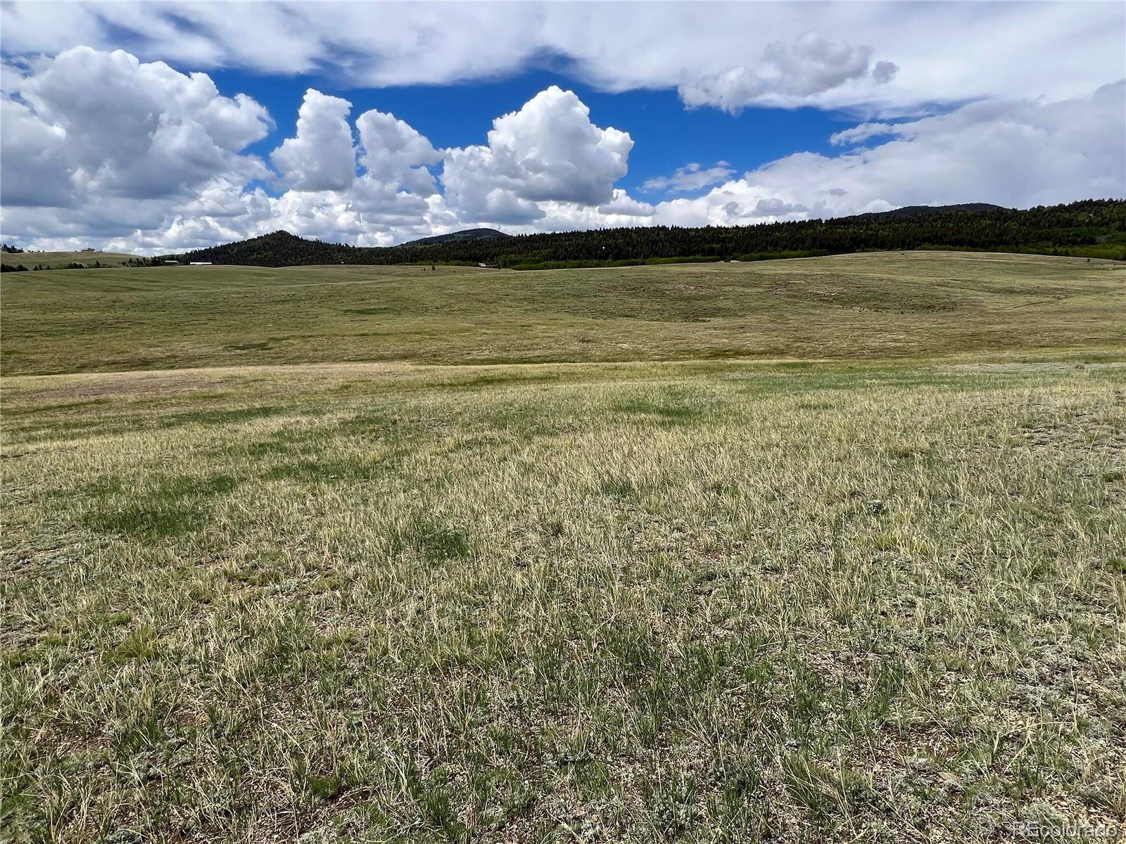 Hartsel, CO 80449,3 Ranch Road