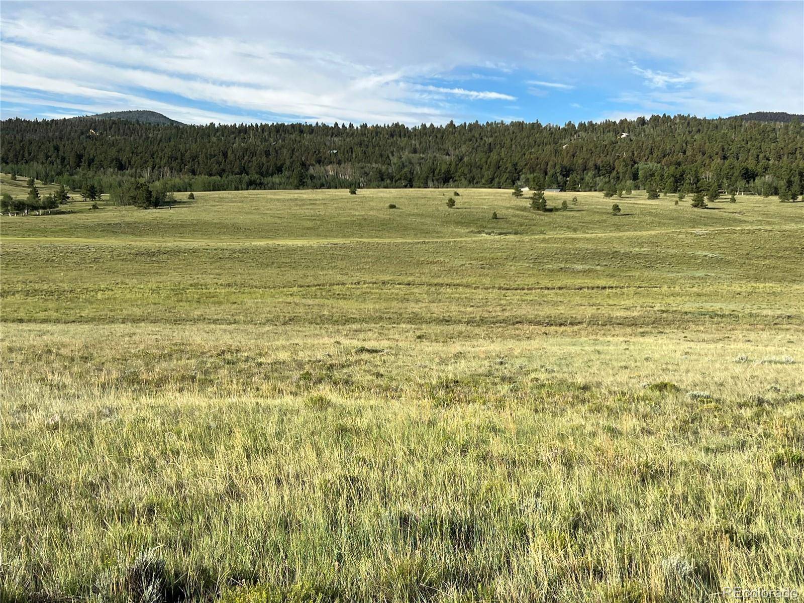 Hartsel, CO 80449,3 Ranch Road