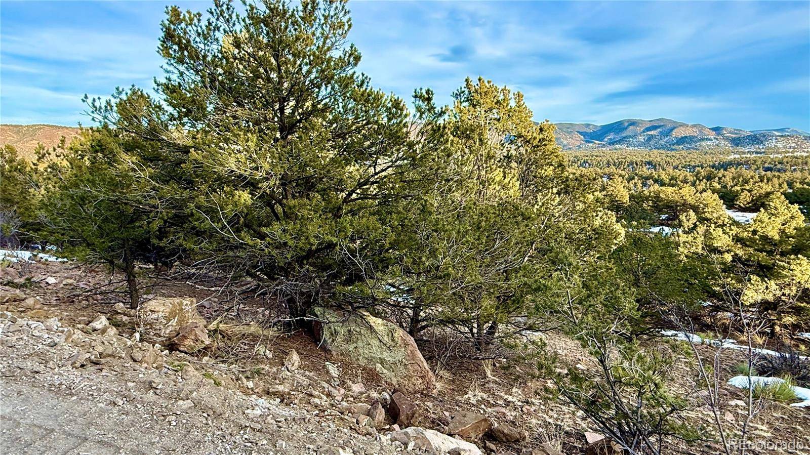 Westcliffe, CO 81252,516 Durfee CIR