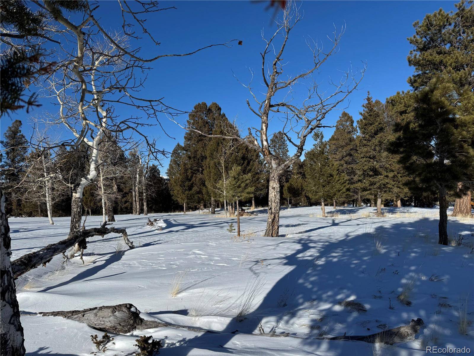 Hartsel, CO 80449,1421 Pitchfork RD