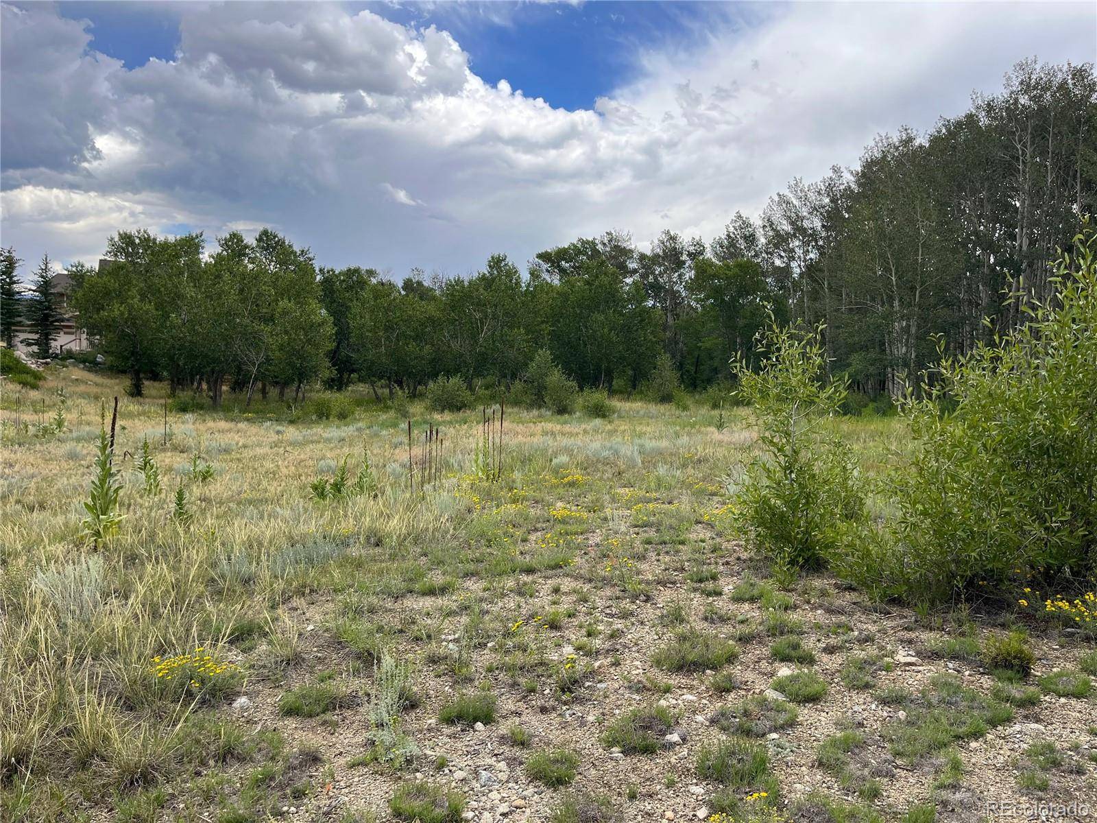 Buena Vista, CO 81211,17541 Trout CIR