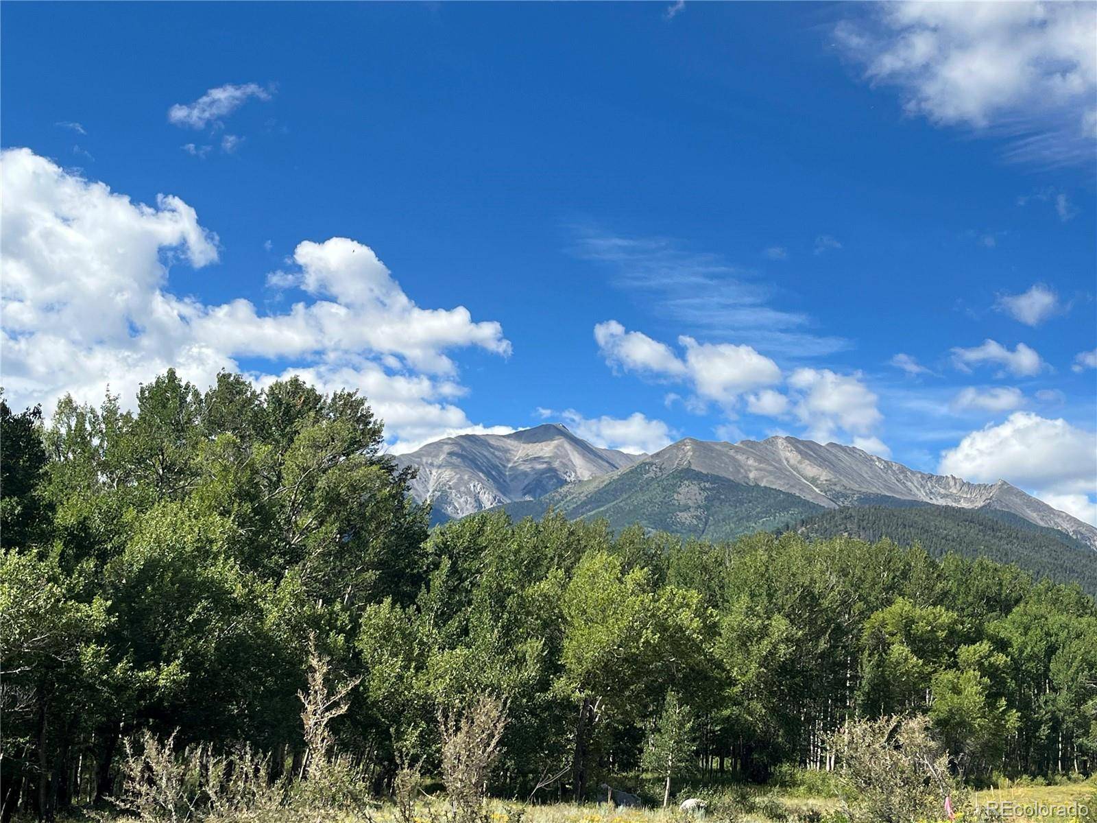 Buena Vista, CO 81211,17541 Trout CIR