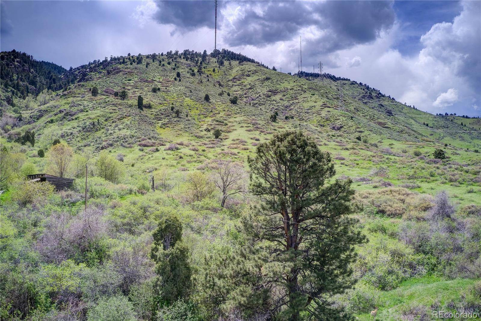 Golden, CO 80401,853 Shelton RD