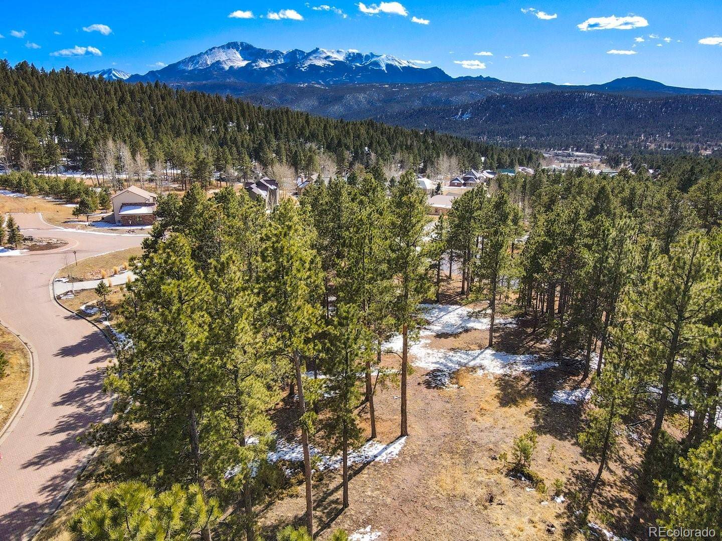 Woodland Park, CO 80863,910 Spacious Skies DR