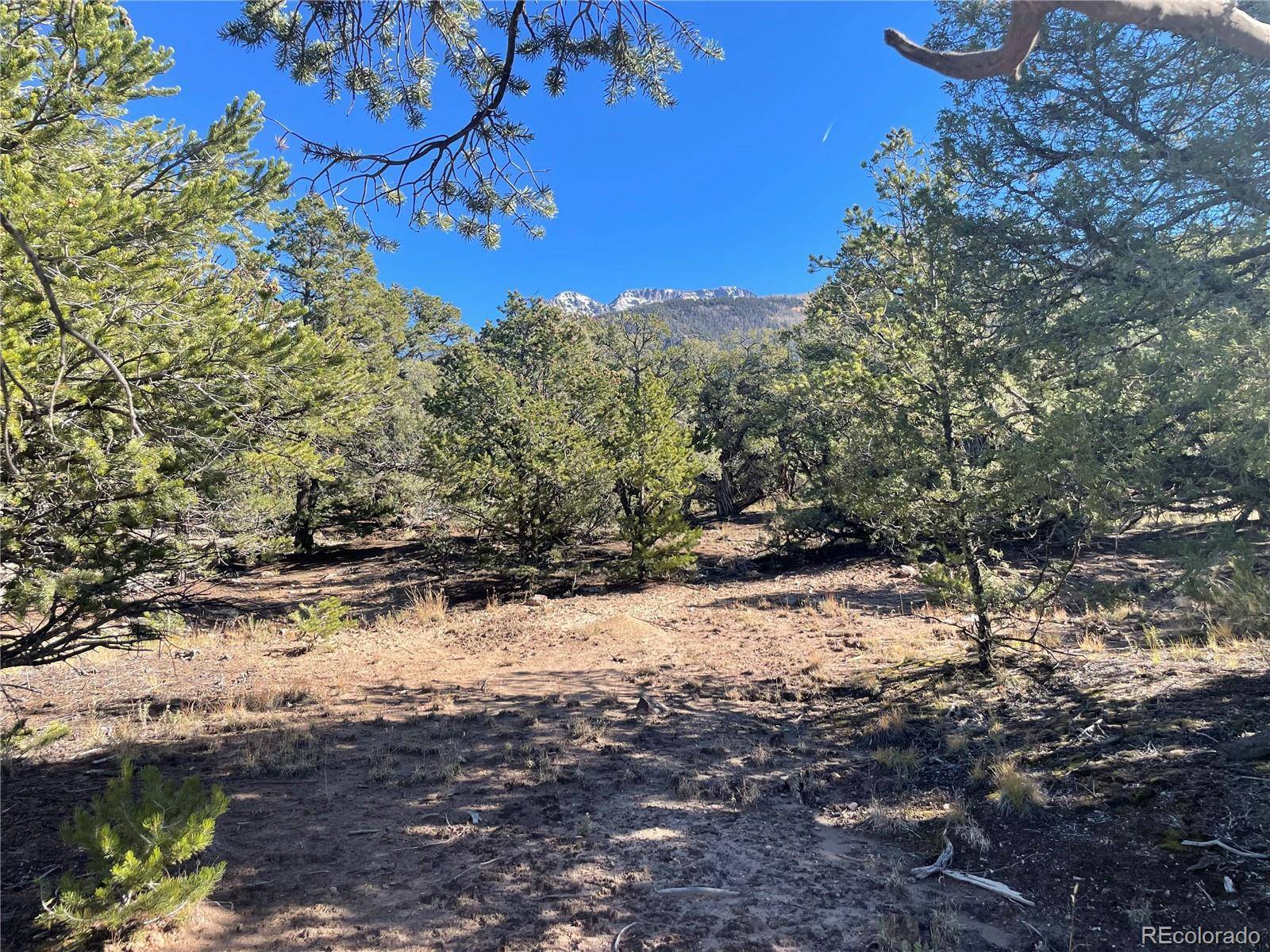 Crestone, CO 81131,1834 Rockyview WAY