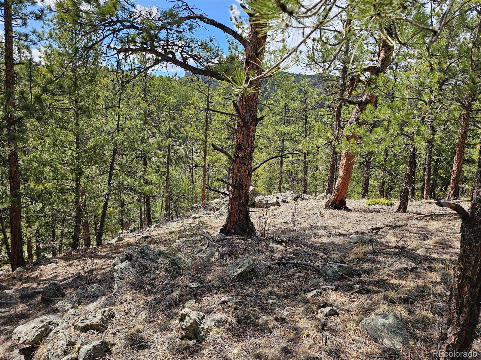 Bailey, CO 80421,N/A Crow Valley RD