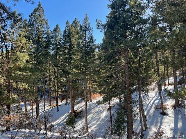 Sedalia, CO 80135,000 Madge Gulch RD