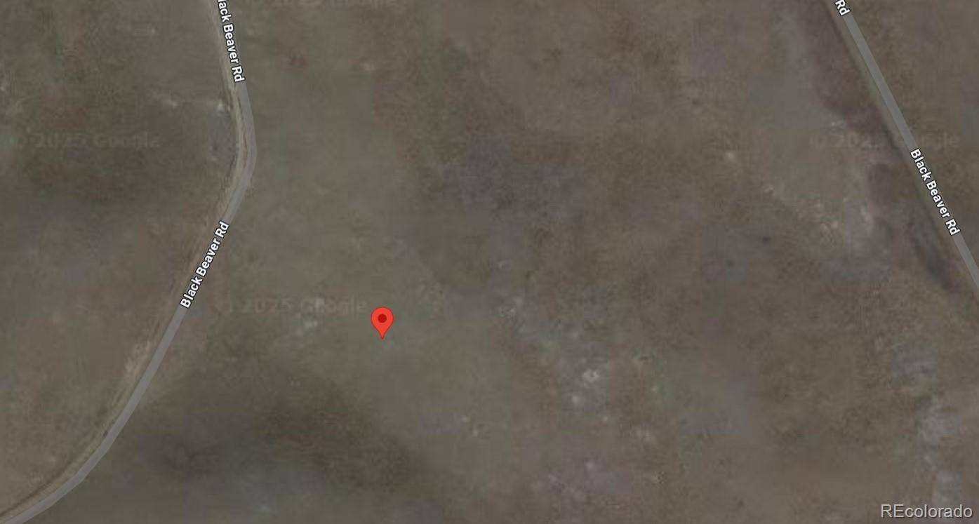 Hartsel, CO 80449,150 Black Beaver CIR