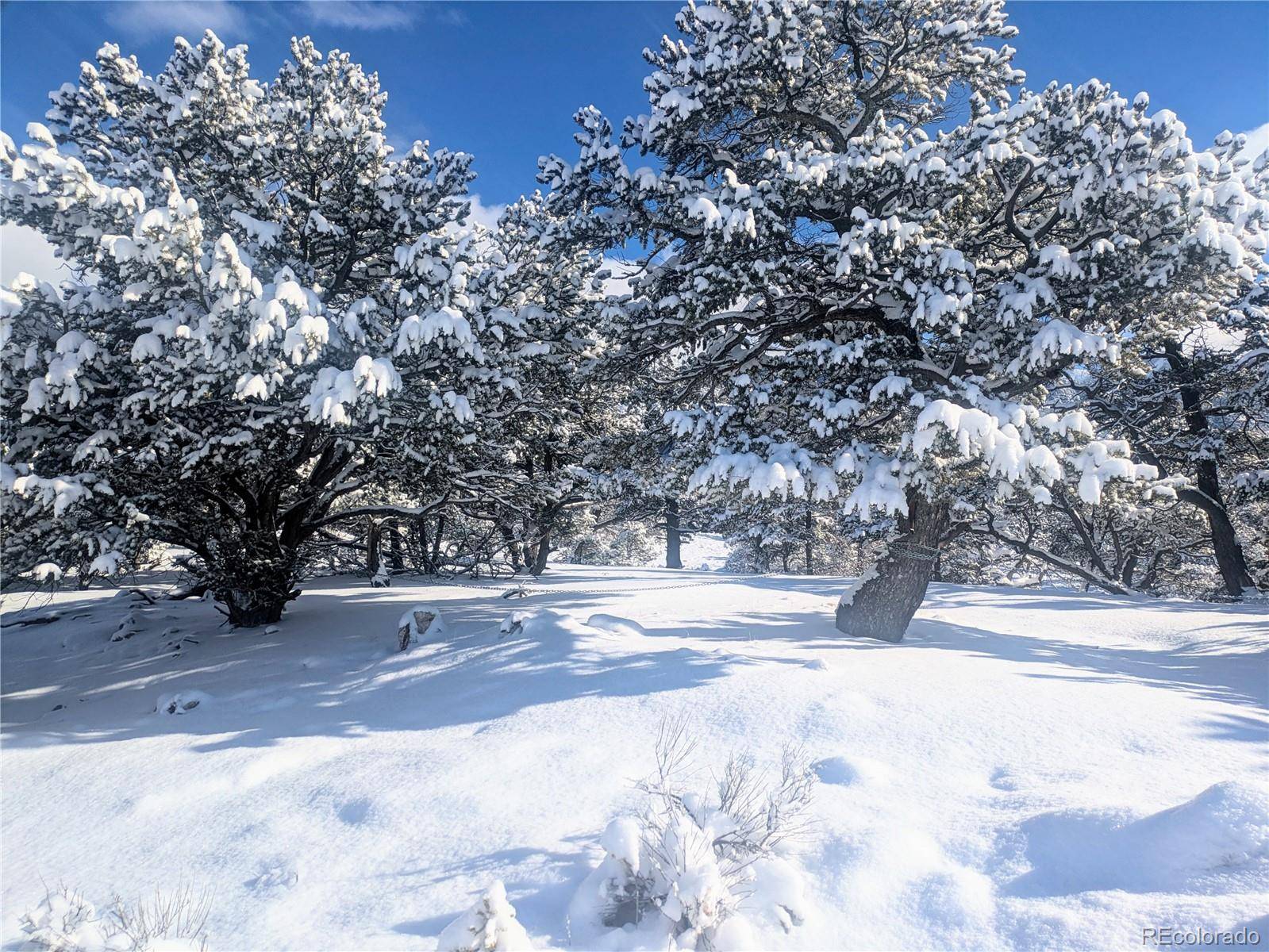 Crestone, CO 81131,1946-1949C, 2017-2020 Lone Pine WAY