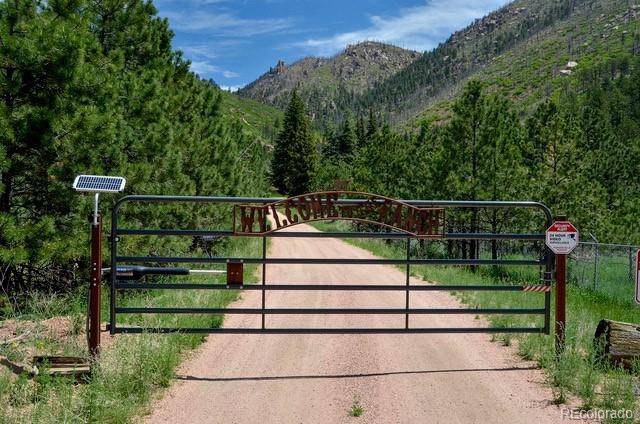 Cascade, CO 80809,5975 Wellington RD