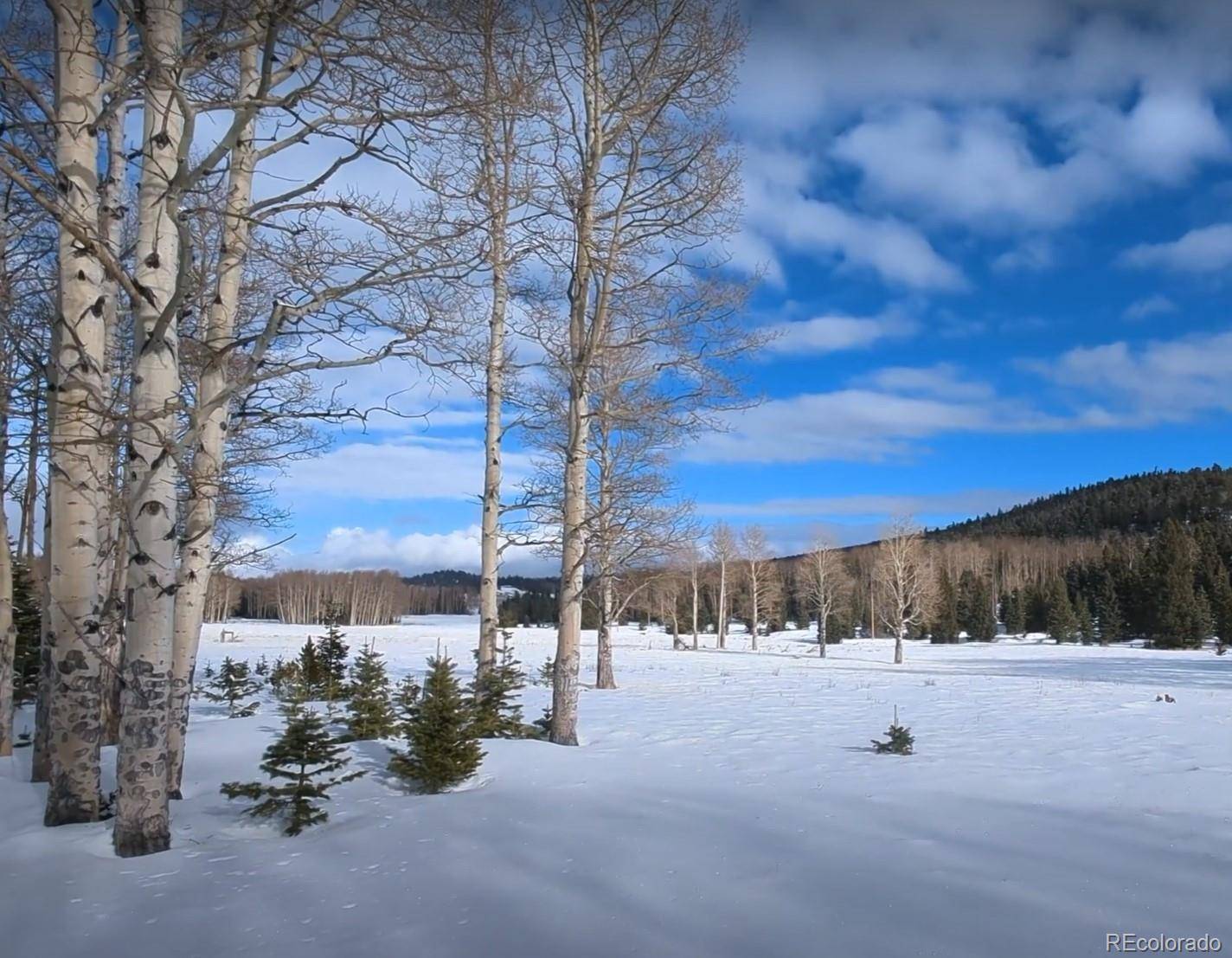 Fort Garland, CO 81133,3104 McMearty PL