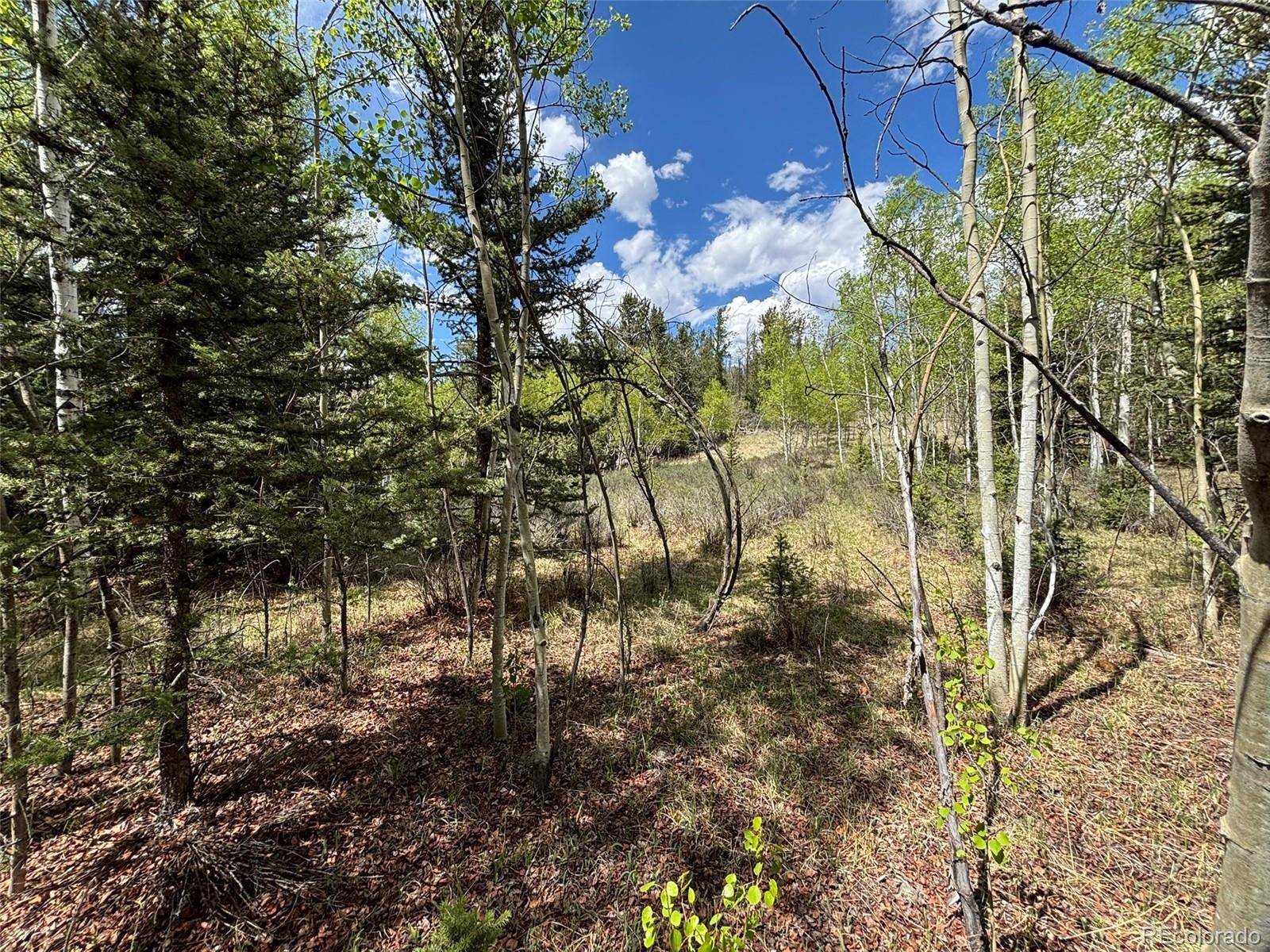 Como, CO 80432,113 Ithaca LN
