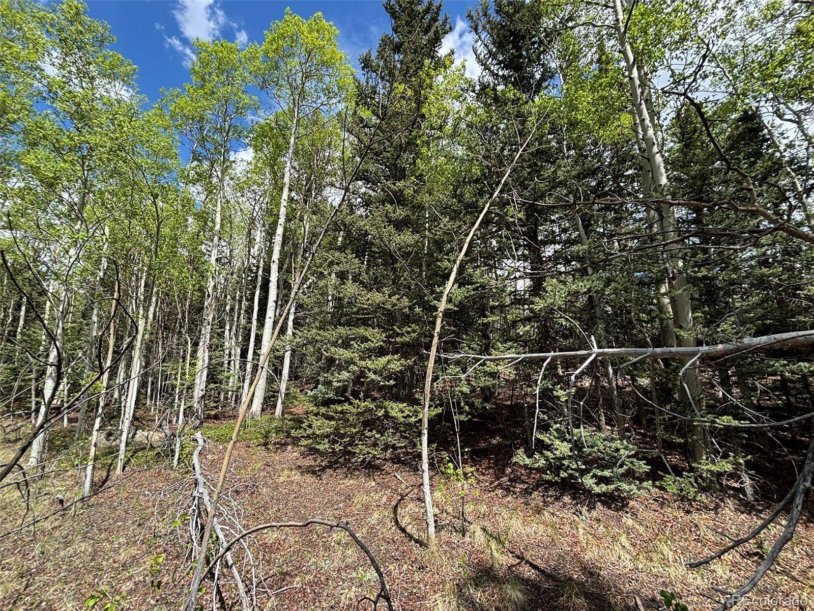Como, CO 80432,113 Ithaca LN
