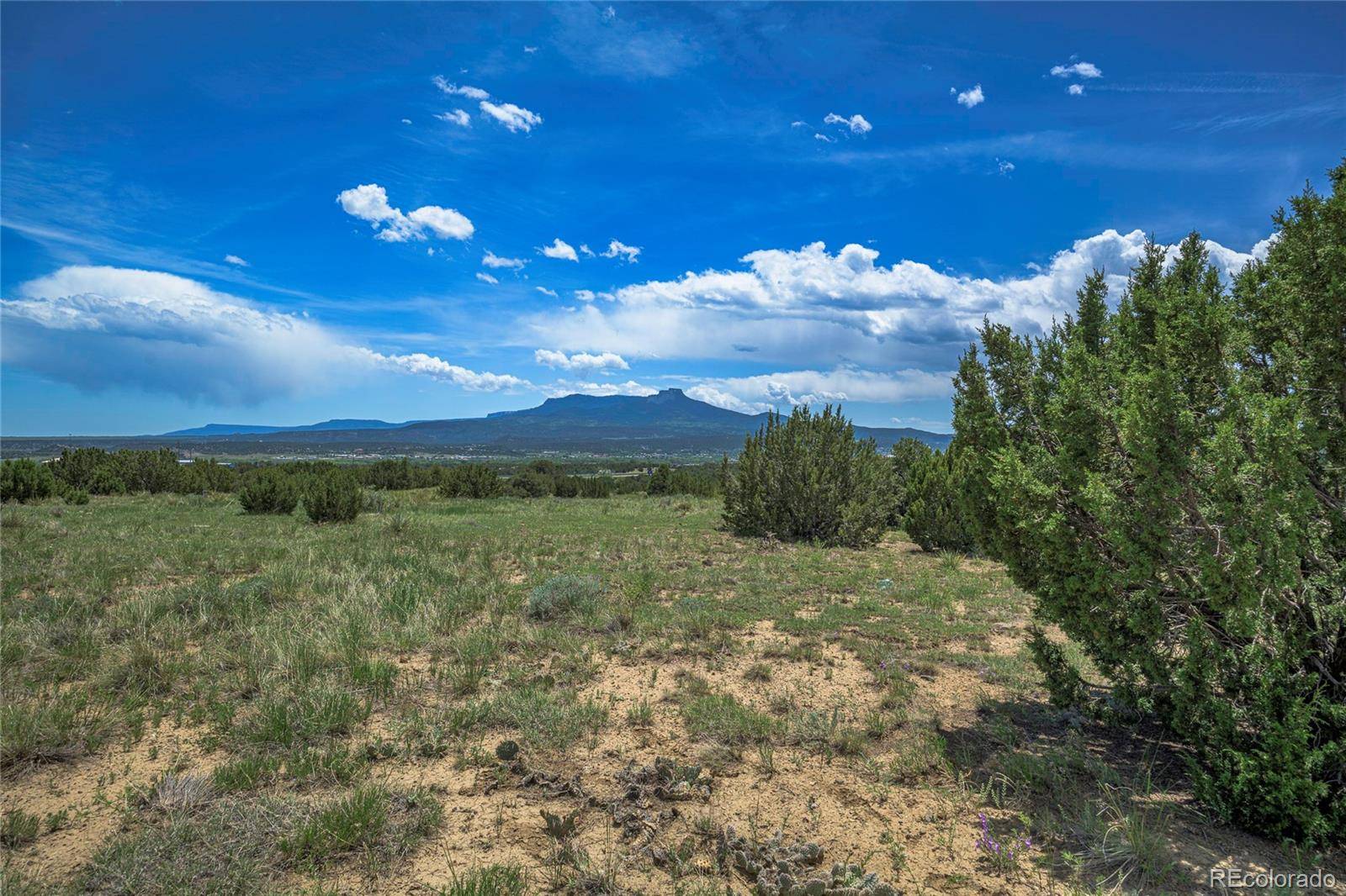 Trinidad, CO 81082,County Rd 71.1