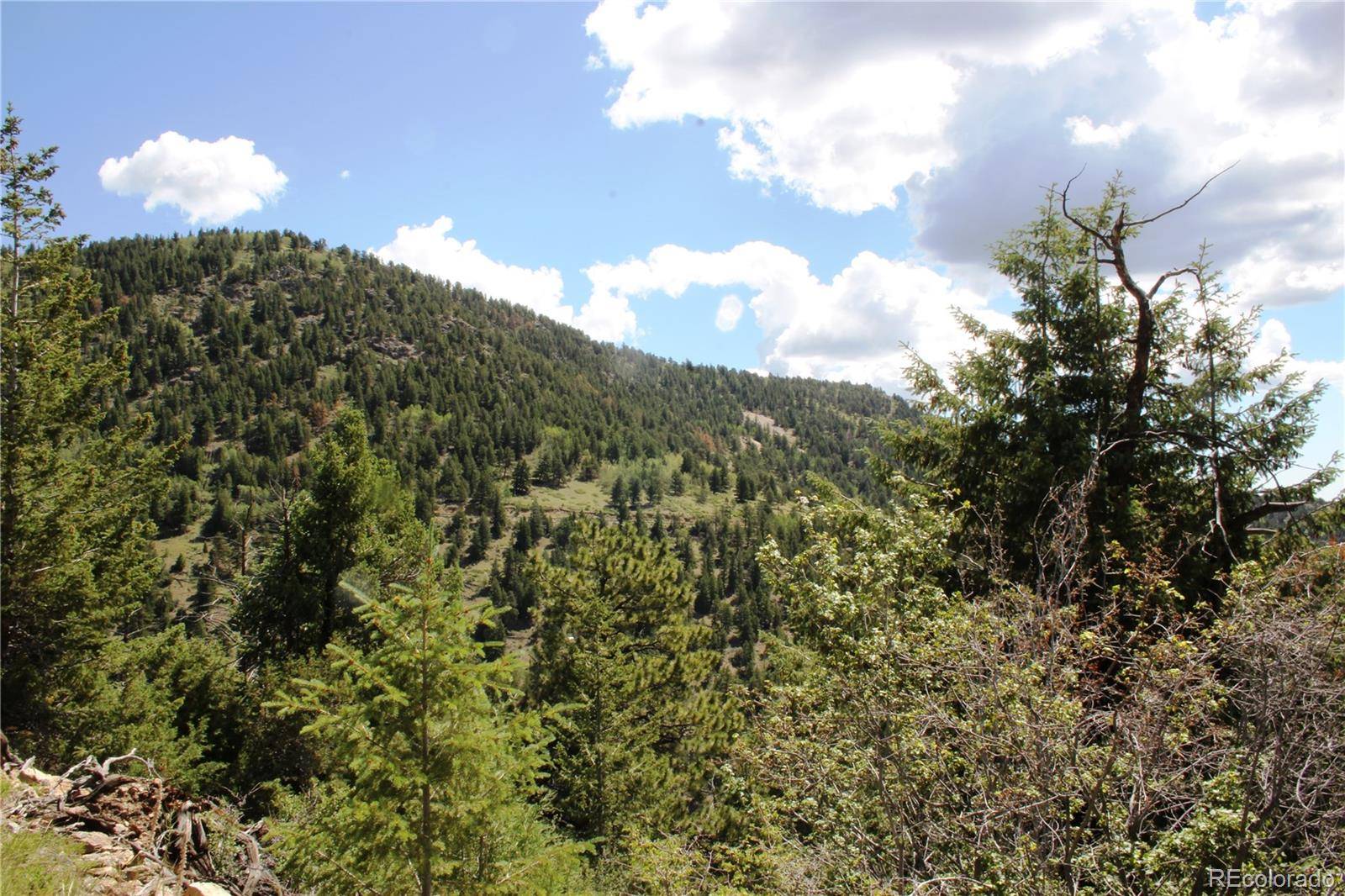 Idaho Springs, CO 80452,200 Two Brothers RD