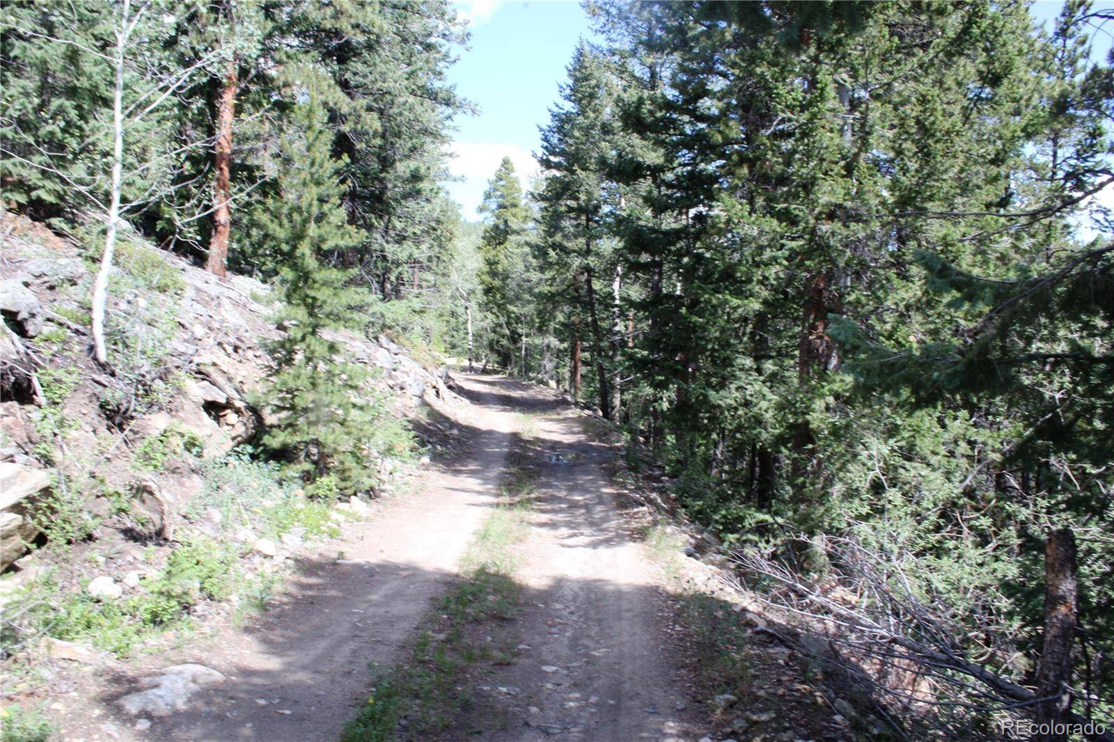 Idaho Springs, CO 80452,200 Two Brothers RD