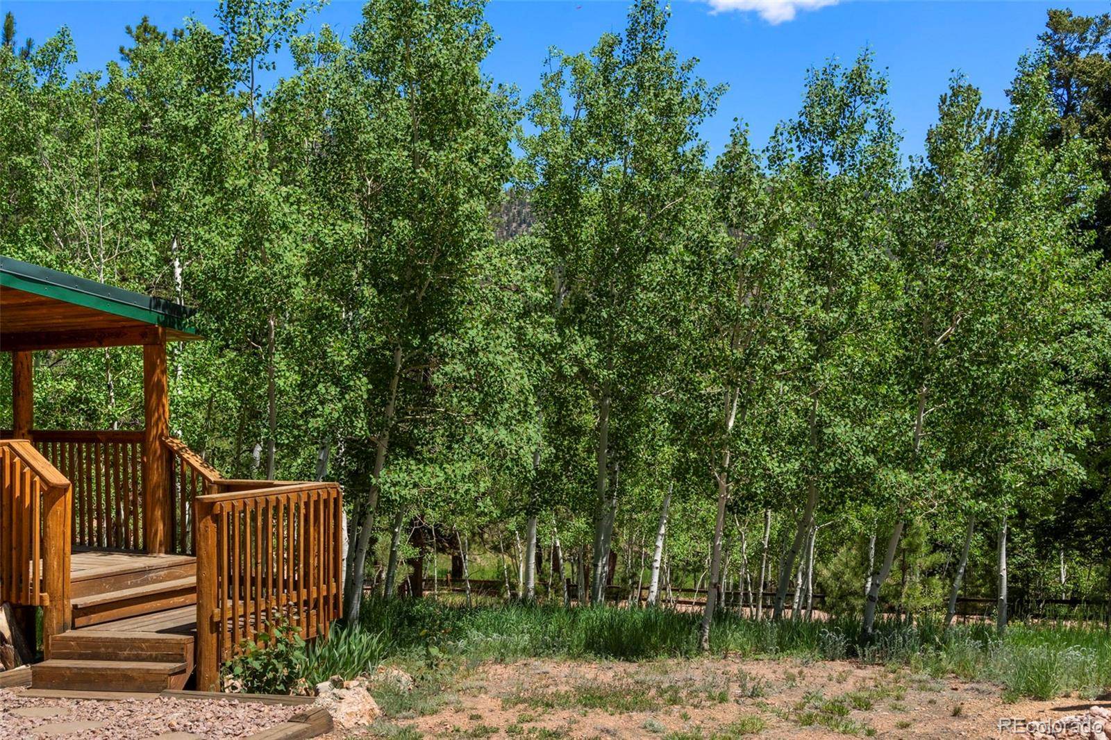 Lake George, CO 80827,546 Pulver RD