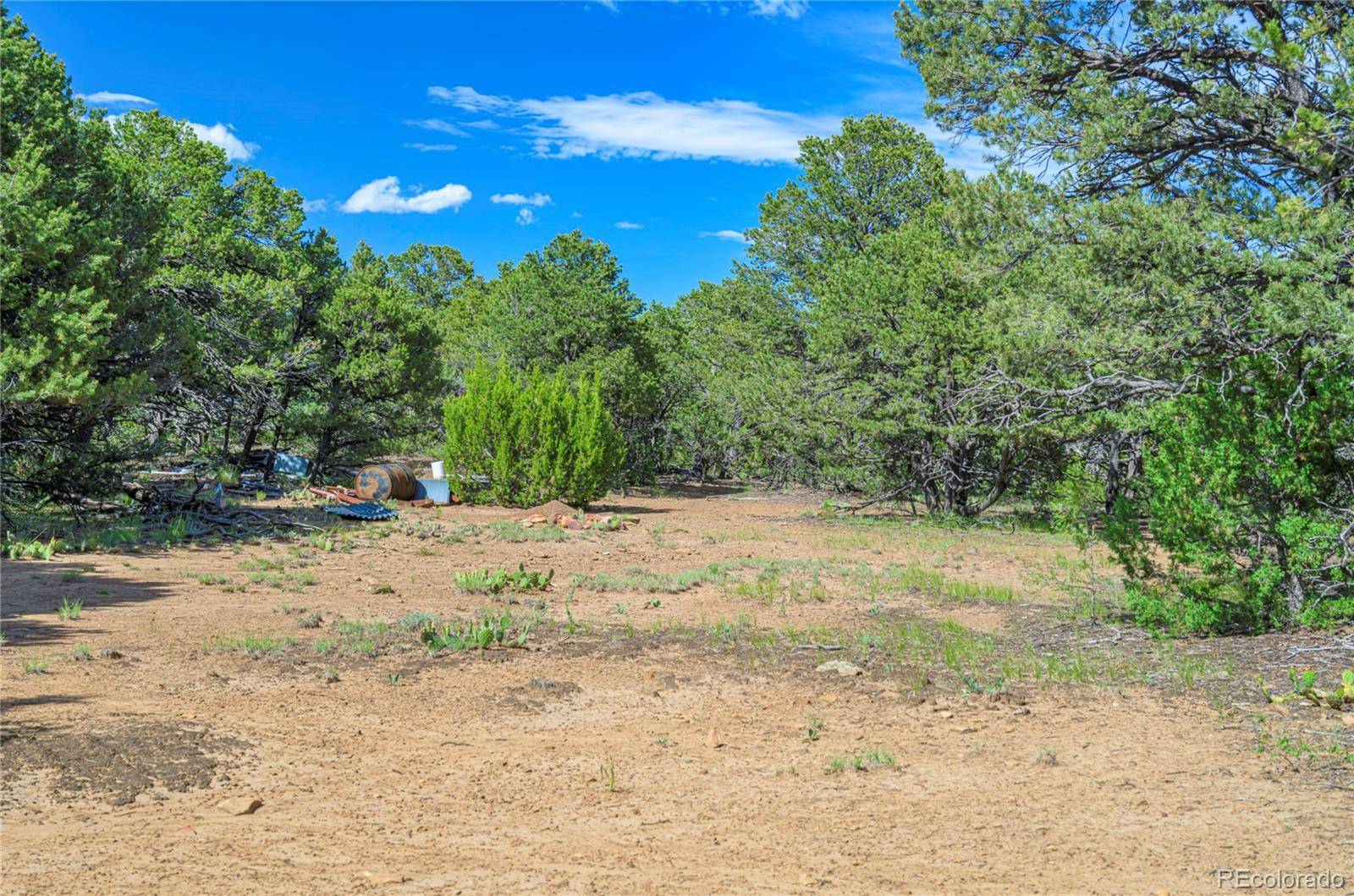 Aguilar, CO 81020,32498 Lower SPUR