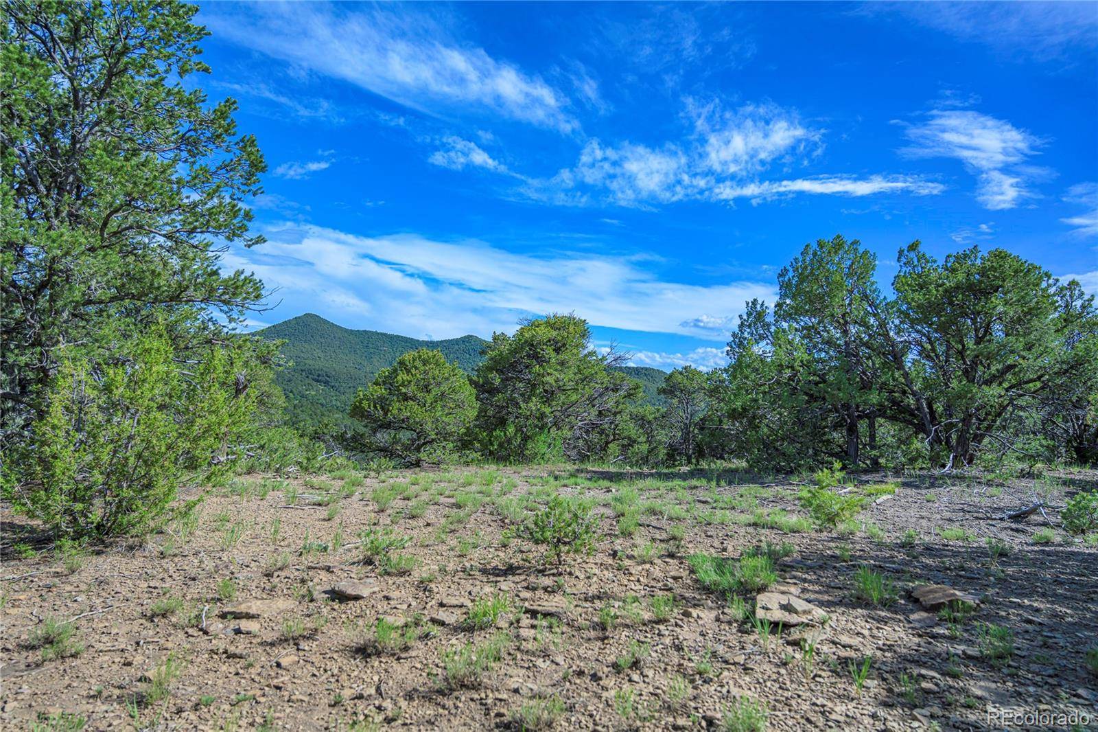 Aguilar, CO 81020,32498 Lower SPUR